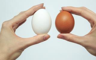 Как покрасить яйца зеленкой и луком — мраморные яйца Покрасить яйца мраморные в домашних условиях